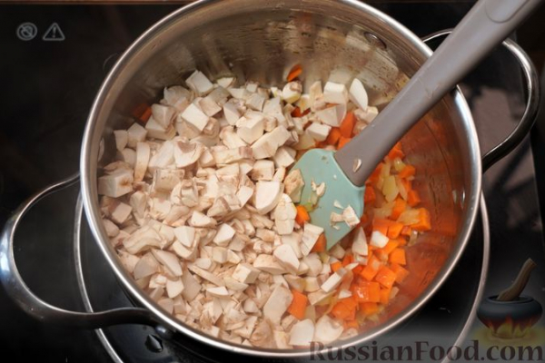 Грибная солянка