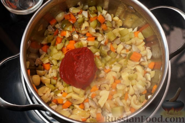 Грибная солянка