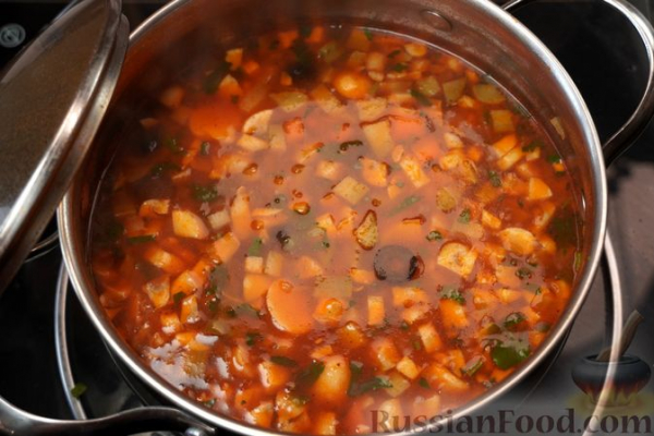Грибная солянка
