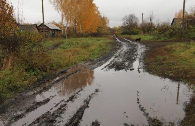 Готовим автомобиль к сезону дождей: что нужно проверить и купить